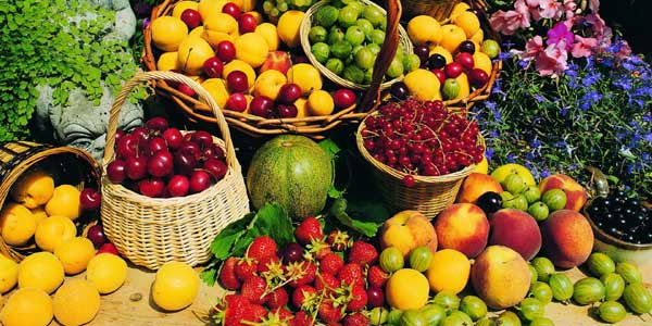 Polyphenol fruit